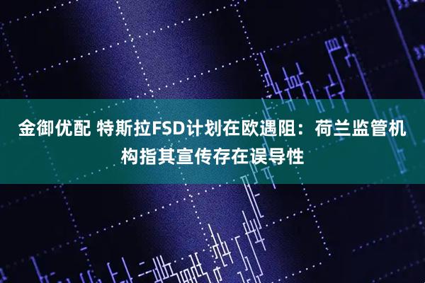 金御优配 特斯拉FSD计划在欧遇阻：荷兰监管机构指其宣传存在误导性
