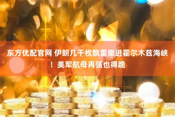 东方优配官网 伊朗几千枚飘雷撒进霍尔木兹海峡！美军航母再强也得跪